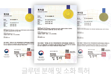 글루텐 분해 및 소화 특허